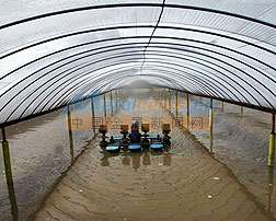 淄博水产养殖膜 选择可靠农用薄膜批发商的重要性