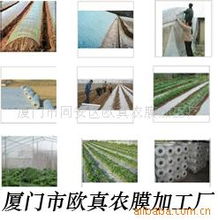 厦门市同安区欧真农膜加工厂农用薄膜产品列表