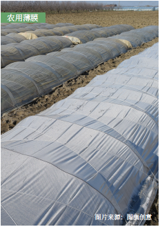 环保可降解PLA吸管与农用薄膜 可持续材料的应用与前景