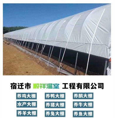 养殖专用黑白膜塑料农用薄膜 助力现代化种植与温室管理